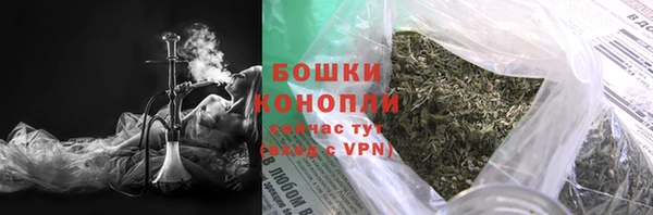 PSILOCYBIN Горнозаводск